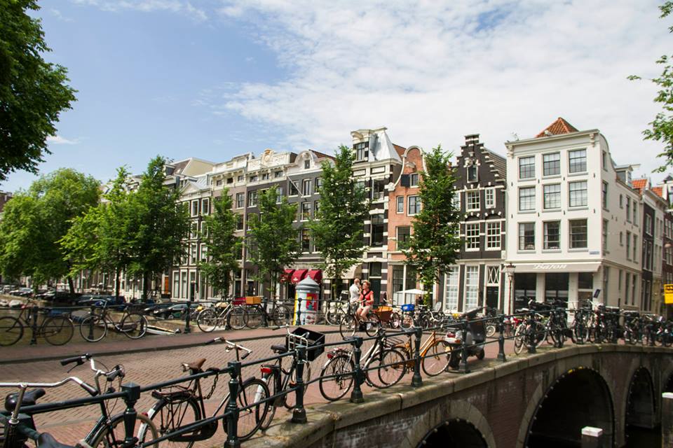 10443538_10204059732393288_313651715846463584_n