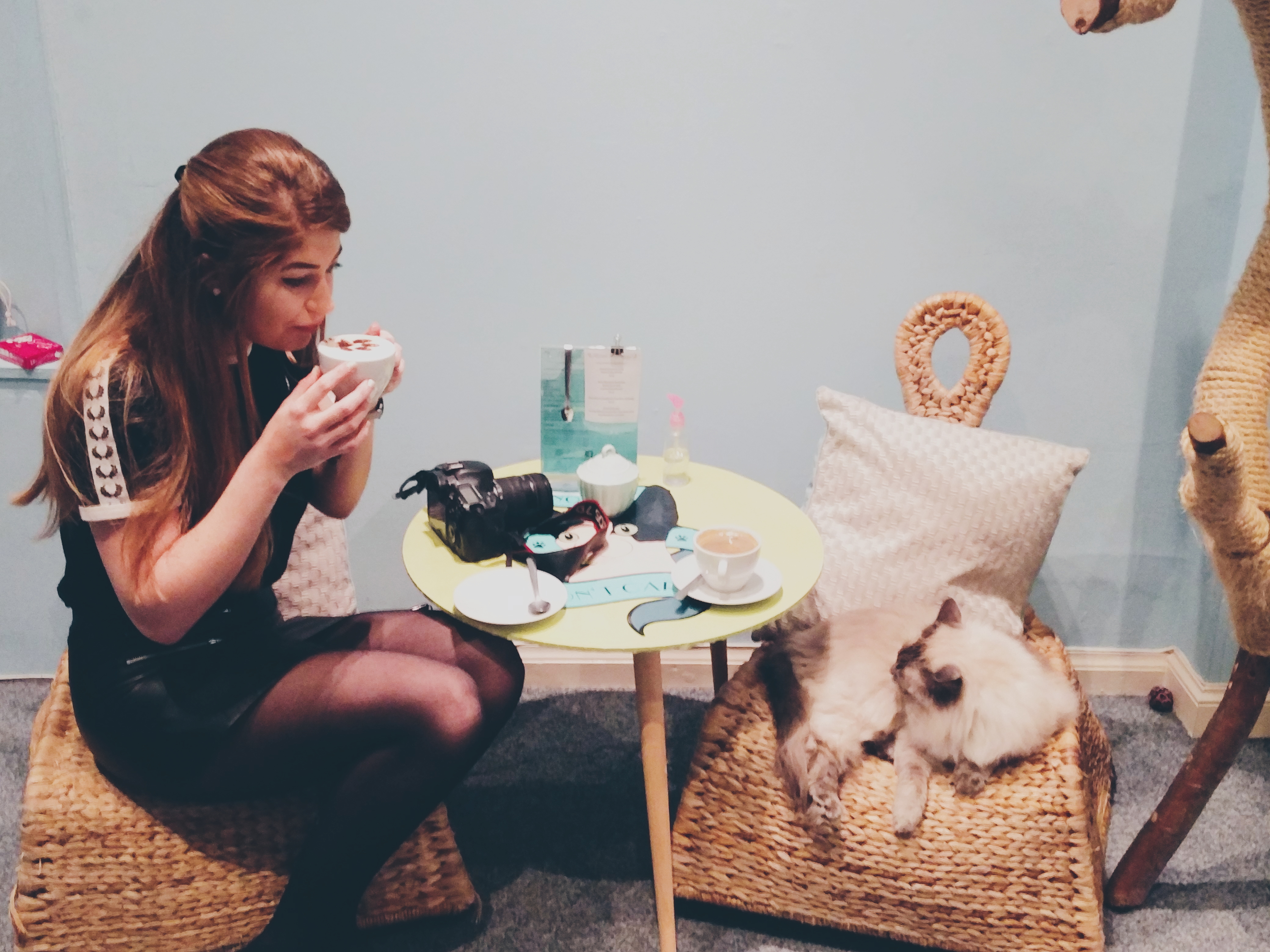 Cat-cafe-edinburgh