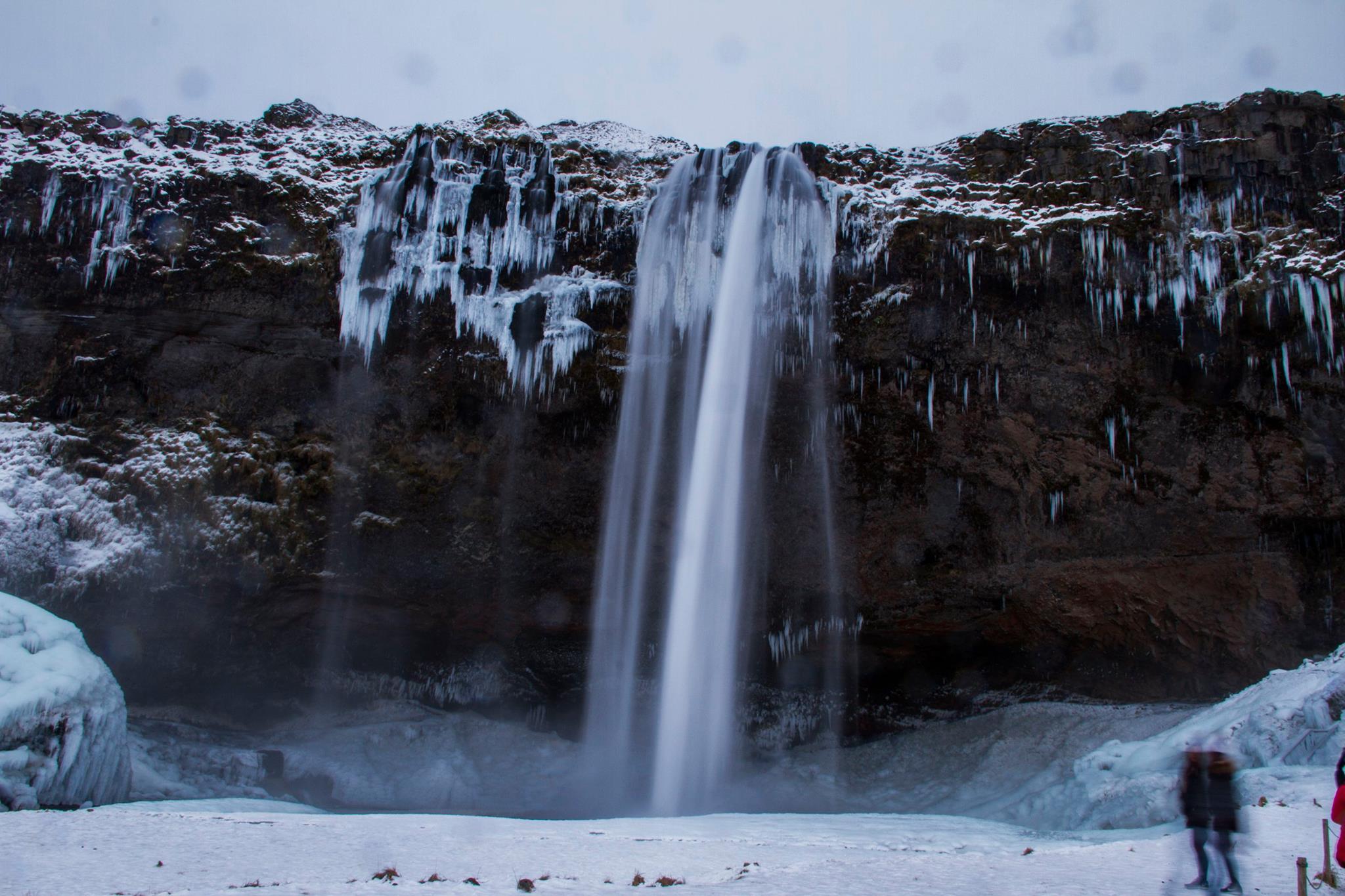 26173467_10215292863854554_1446054174893575991_o