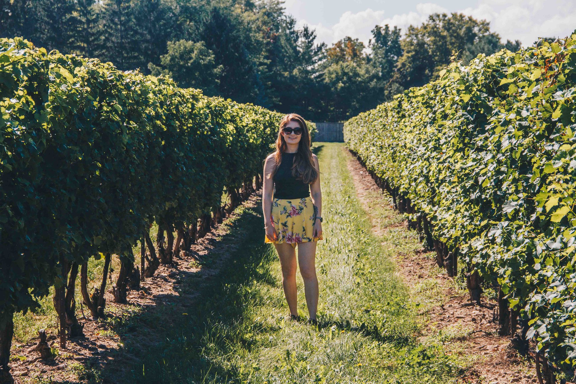 niagara-wine-tasting