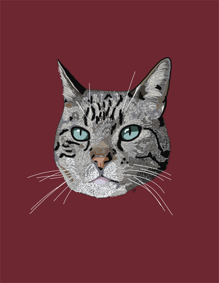Illustration of a grey tabby cat