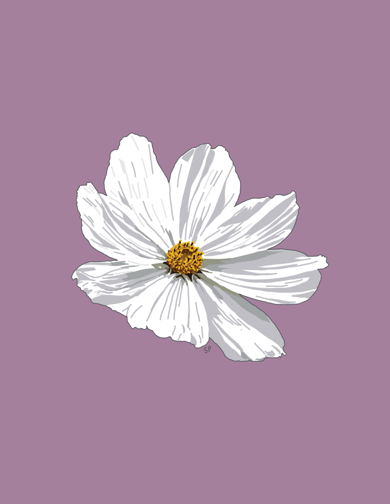 Flower illustration