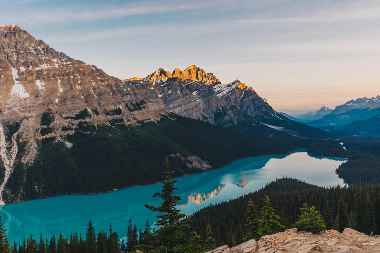 peyto lake